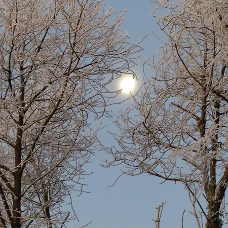 Sejour En Famille Au Bois Joli, Detente, Nature, Activites Pour Tous * Beauraing