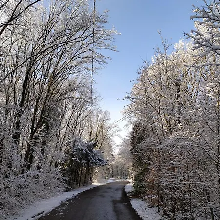 Sejour En Famille Ou Entre Amis Au Bois Joli, Detente, Nature, Activites Pour Tous Feriehus *