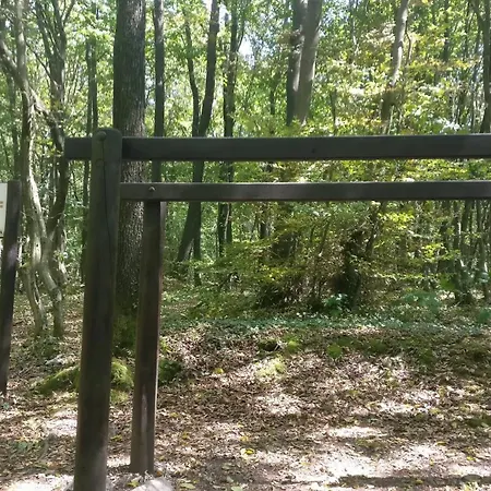 Sejour En Famille Au Bois Joli, Detente, Nature, Activites Pour Tous