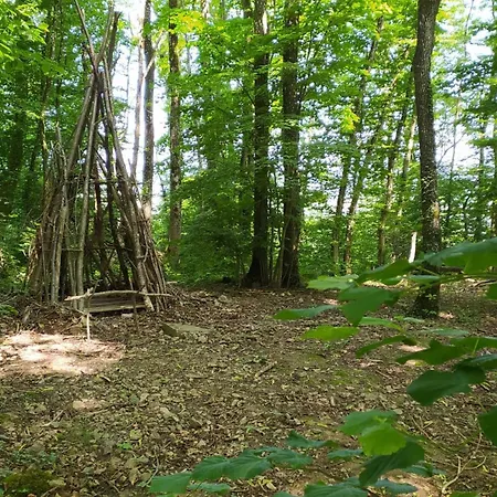 Sejour En Famille Ou Entre Amis Au Bois Joli, Detente, Nature, Activites Pour Tous Feriehus Beauraing