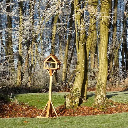 Feriehus Sejour En Famille Ou Entre Amis Au Bois Joli, Detente, Nature, Activites Pour Tous