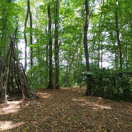 Holiday home Sejour En Famille Au Bois Joli, Detente, Nature, Activites Pour Tous Beauraing